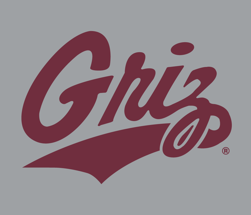 Montana Grizzlies 1996-Pres Alternate Logo v5 iron on transfers for clothing